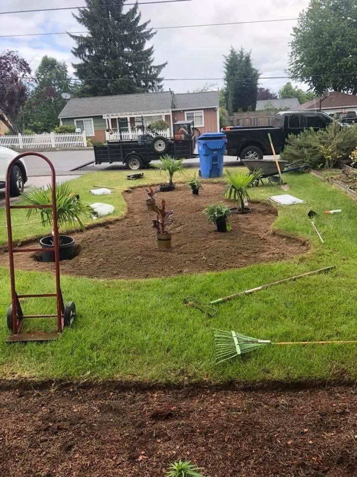 Trusted landscape design for beautiful yards across Lacey, WA - Alevyga