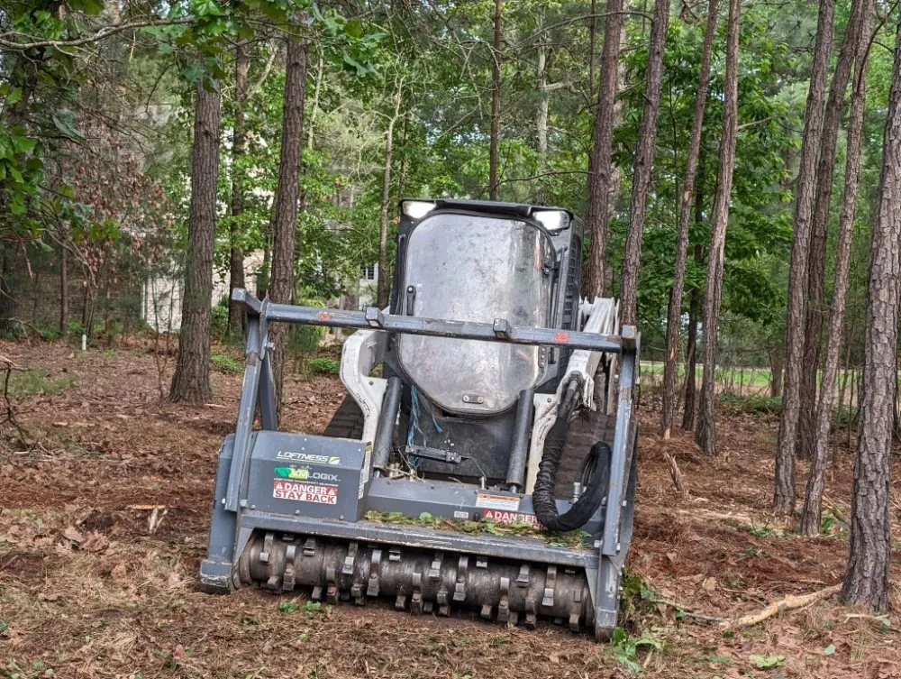 Top-rated landscape design near you in Aberdeen, NC by Alex & Co Landscape & Lawn Care