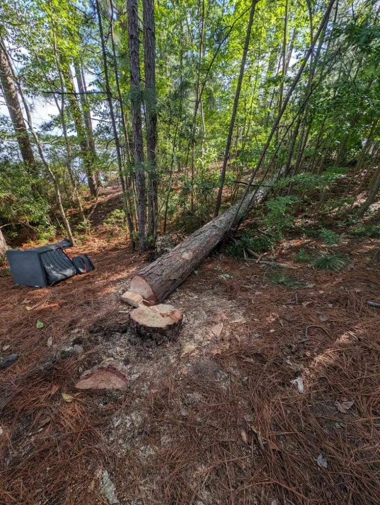 Top-rated outdoor landscaping near you in Aberdeen, NC by Alex & Co Landscape & Lawn Care