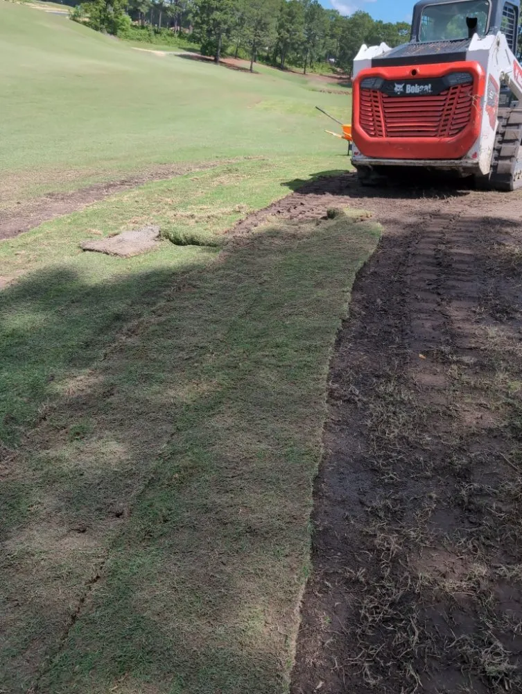 Professional lawn care service in Aberdeen, NC by Alex & Co Landscape & Lawn Care