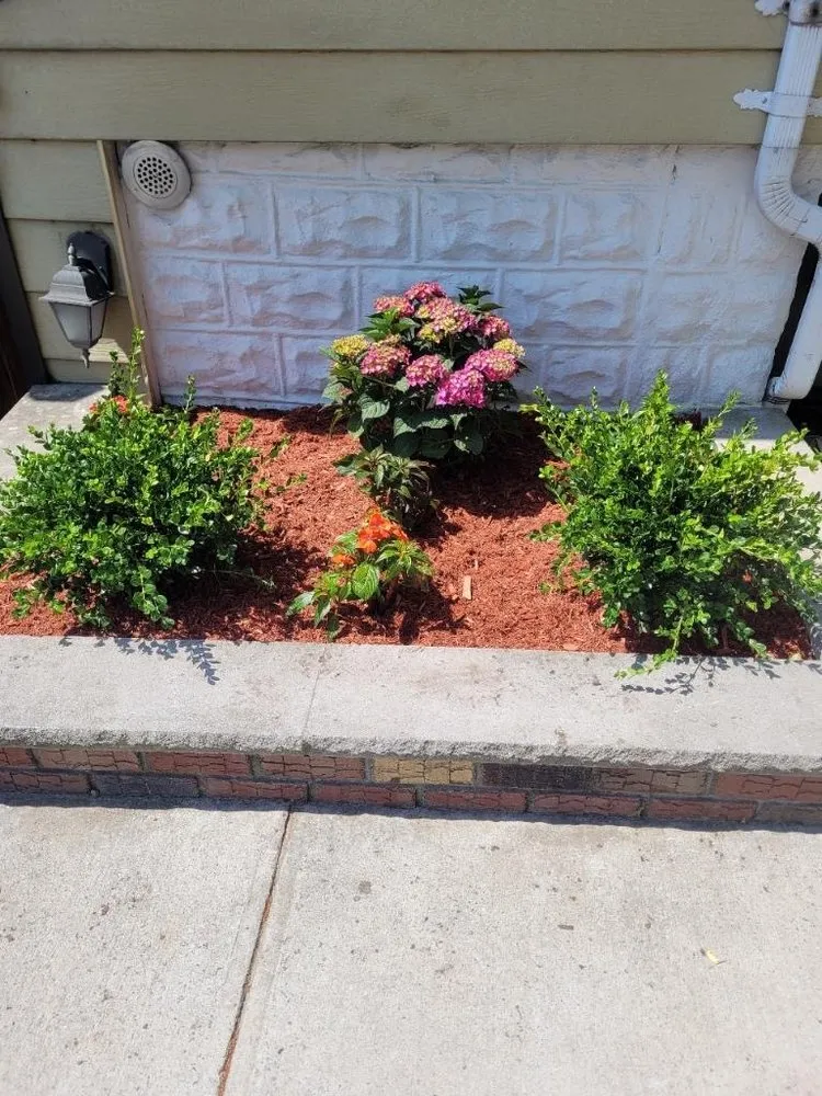 Local landscape design experts serving Staten Island, NY - Alex & Sam Landscaping