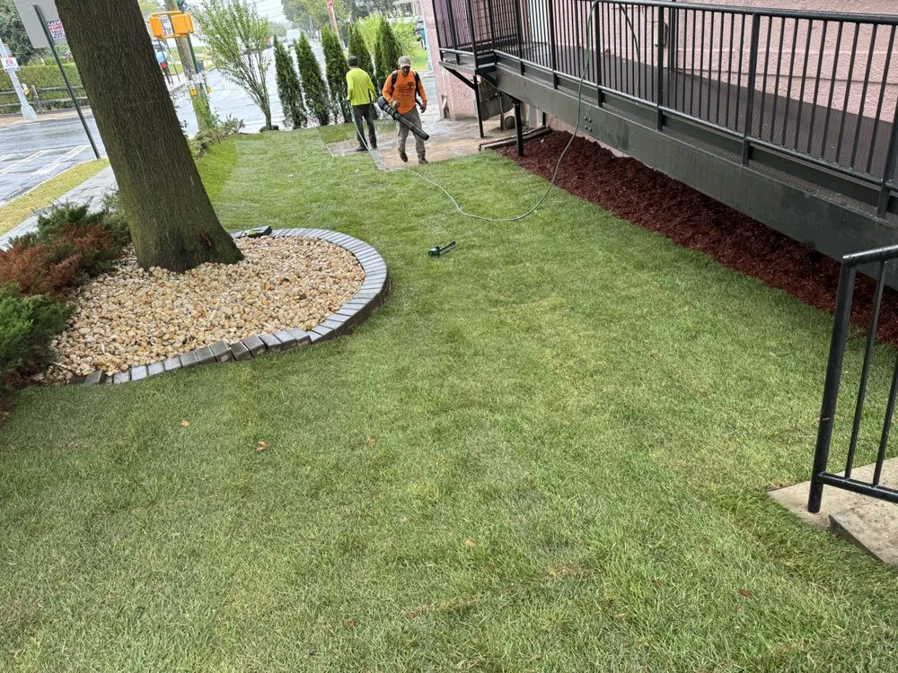 Expert yard maintenance in Staten Island, NY - Alex & Sam Landscaping