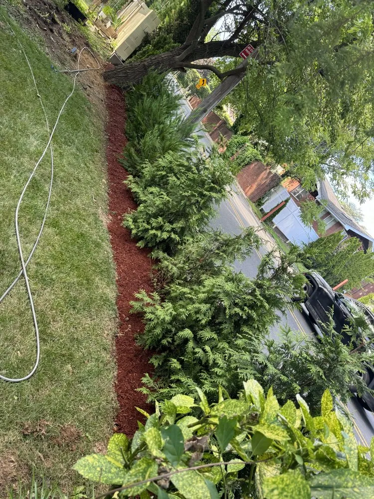 Professional lawn mowing service experts serving Staten Island, NY - Alex & Sam Landscaping