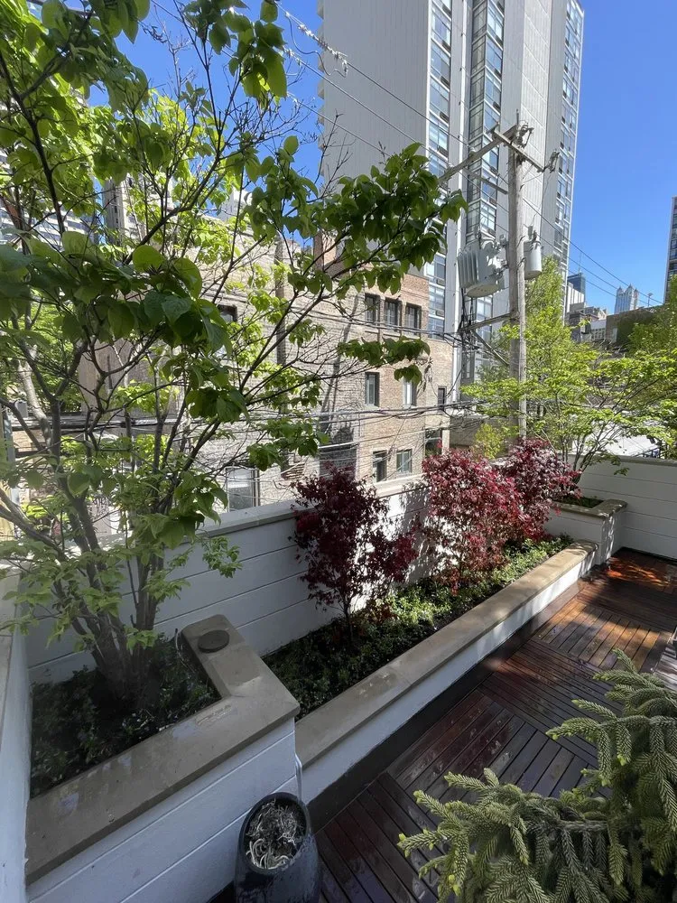 Professional lawn care service with custom design in Wheeling, IL by Alex and David Landscaping and Construction