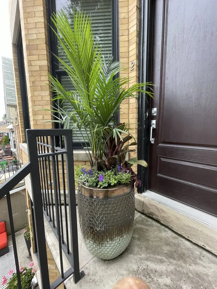 Top-rated lawn care service in Wheeling, IL - Alex and David Landscaping and Construction