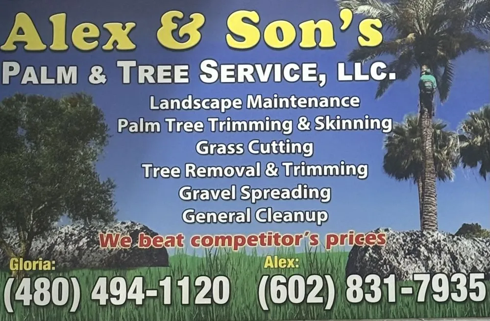 Custom yard maintenance in Mesa, AZ by Alex and sons palm and Tree services