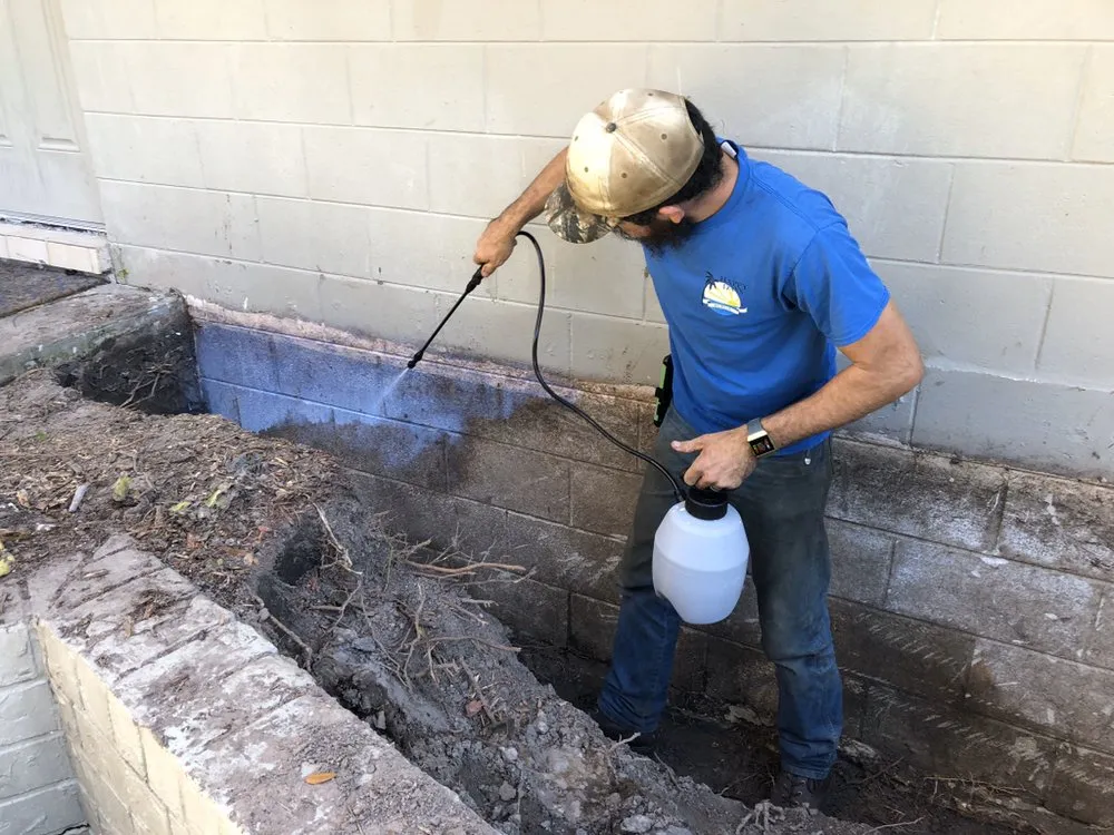 Local residential landscaping in Tampa, FL by Alex Anglin Lawn Care Specialist