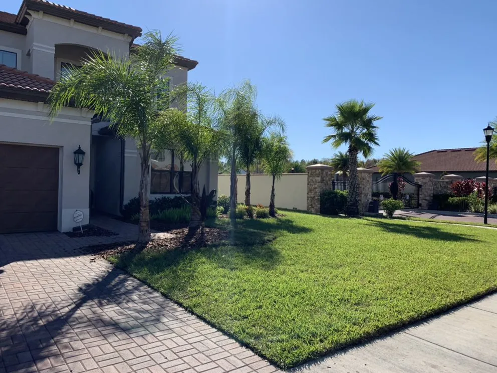 Expert outdoor landscaping for beautiful yards in Tampa, FL by Alex Anglin Lawn Care Specialist