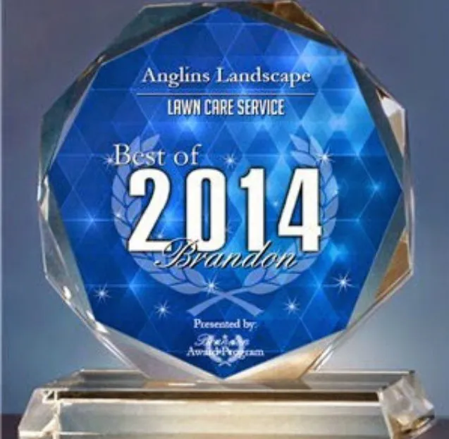 Expert outdoor landscaping for beautiful yards across Tampa, FL - Alex Anglin Lawn Care Specialist