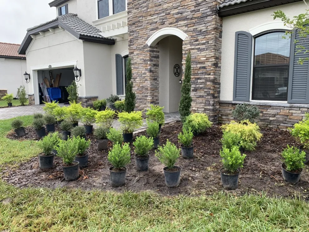 Custom landscape design in Tampa, FL by Alex Anglin Lawn Care Specialist