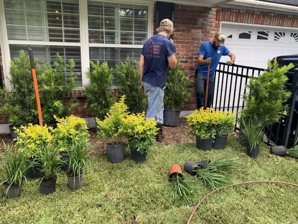 Professional landscape design for residential properties across Tampa, FL - Alex Anglin Lawn Care Specialist