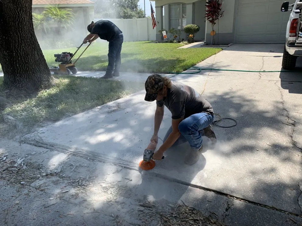 Expert lawn care service near you across Tampa, FL - Alex Anglin Lawn Care Specialist