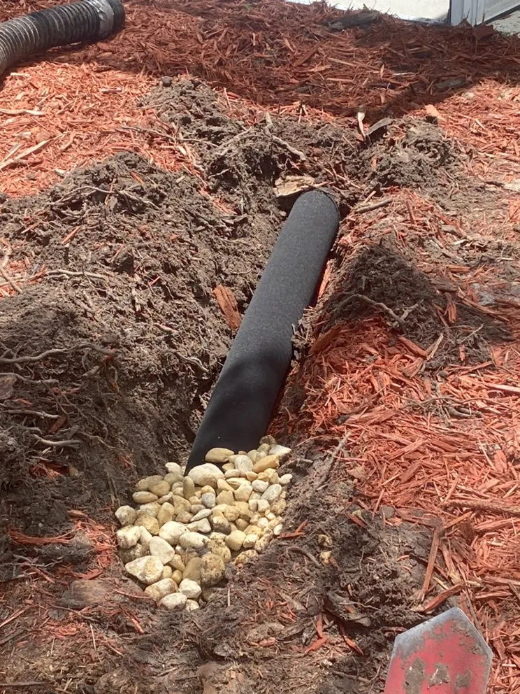 Top-rated lawn care service in Tampa, FL by Alex Anglin Lawn Care Specialist