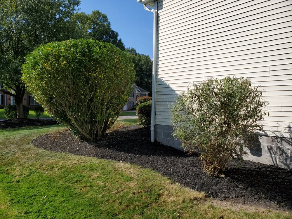 Trusted residential landscaping experts serving Rochester, NY - Alex Blagrove Landscaping & Lawn Service