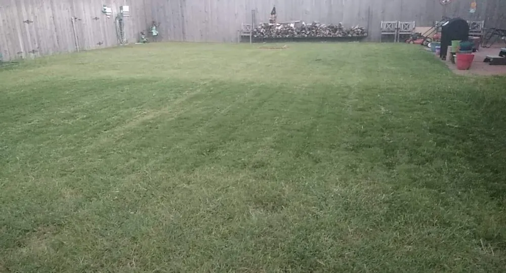 Professional landscape design in Pampa, TX - Alex Detailing & Landscaping