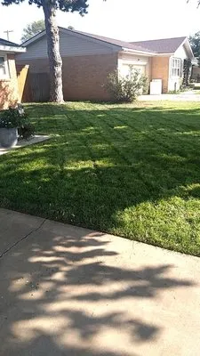 Alex Detailing & Landscaping