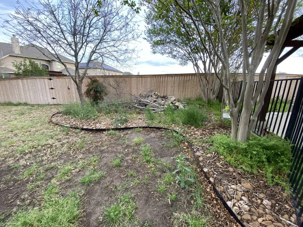 Reliable yard cleanup service for beautiful yards in San Antonio, TX by Alex Fence & Landscaping