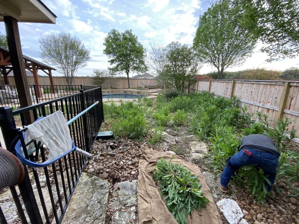 Professional landscaping services in San Antonio, TX by Alex Fence & Landscaping