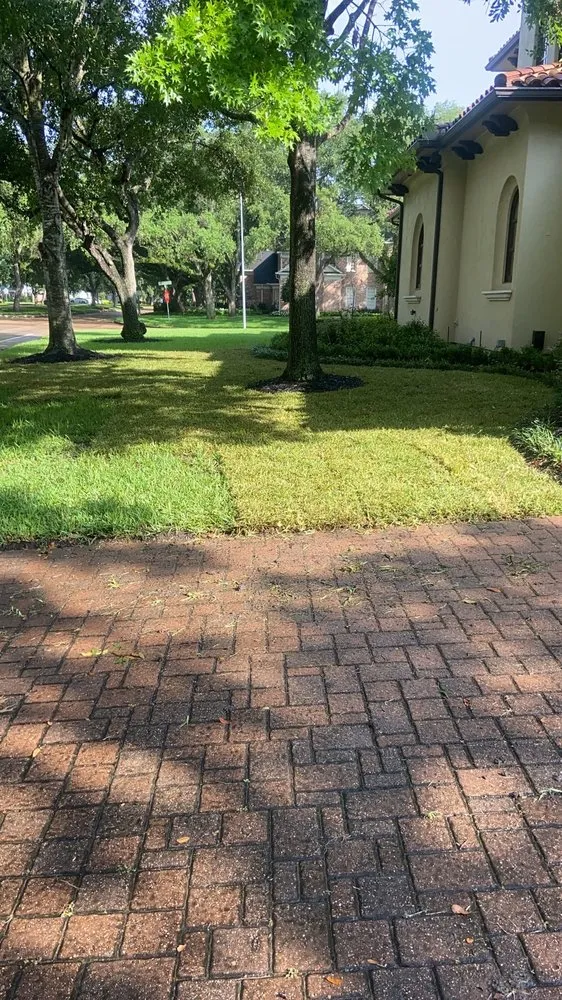 Professional residential landscaping in Houston, TX - Alex Gardening and More