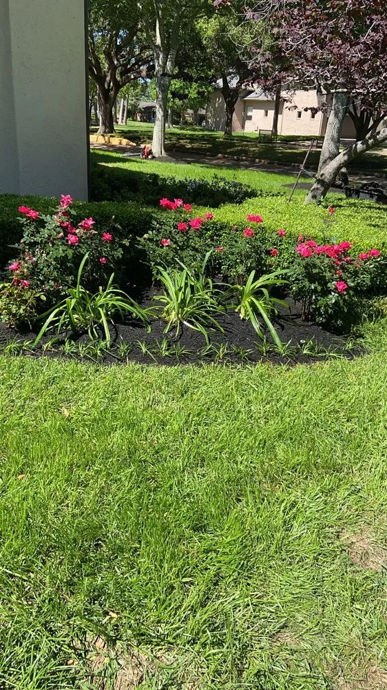 Custom landscape installation in Houston, TX by Alex Gardening and More