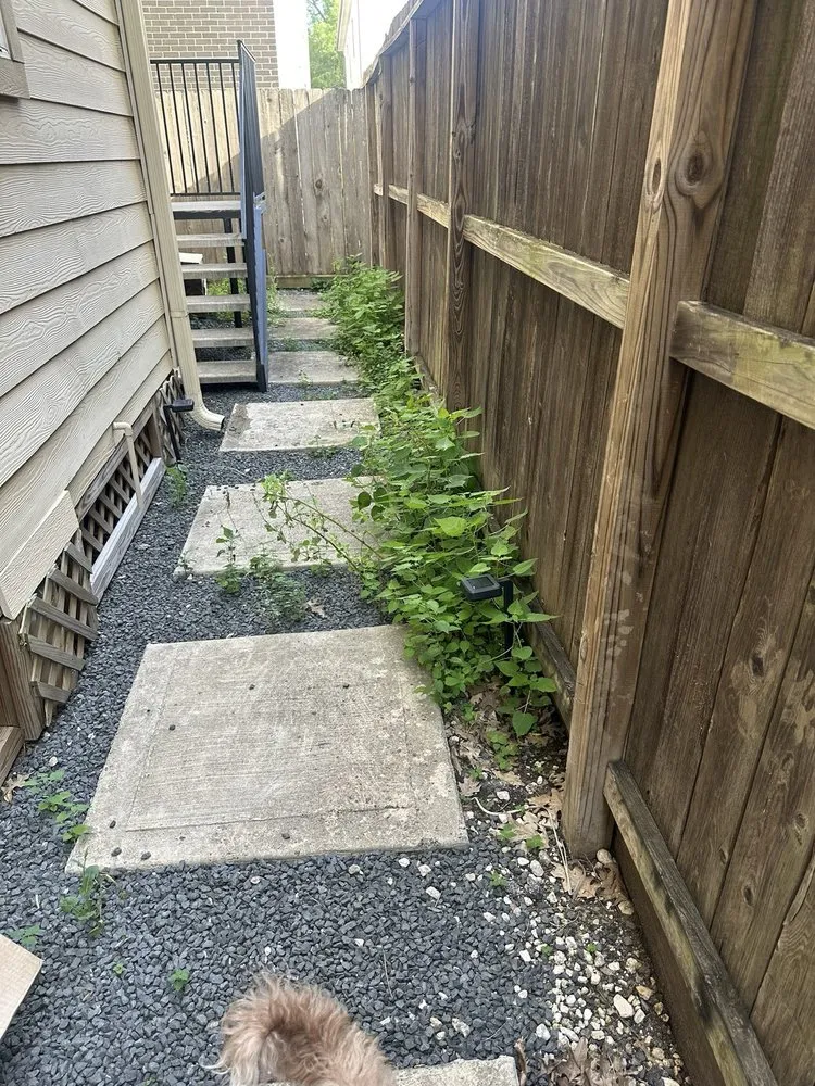 Top-rated landscape design experts serving Houston, TX - Alex Gardening and More