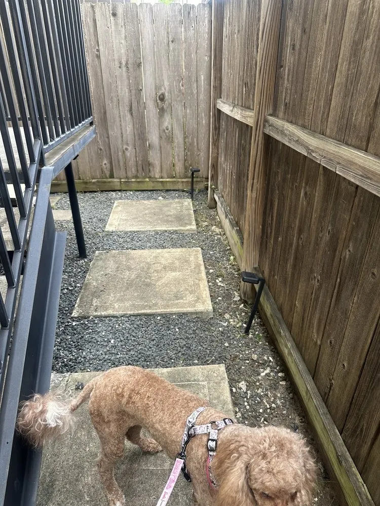 Custom lawn care service in Houston, TX - Alex Gardening and More