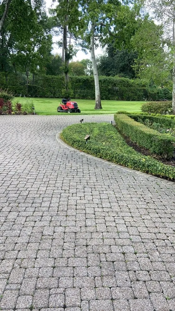 Expert yard cleanup service in Houston, TX - Alex Gardening and More