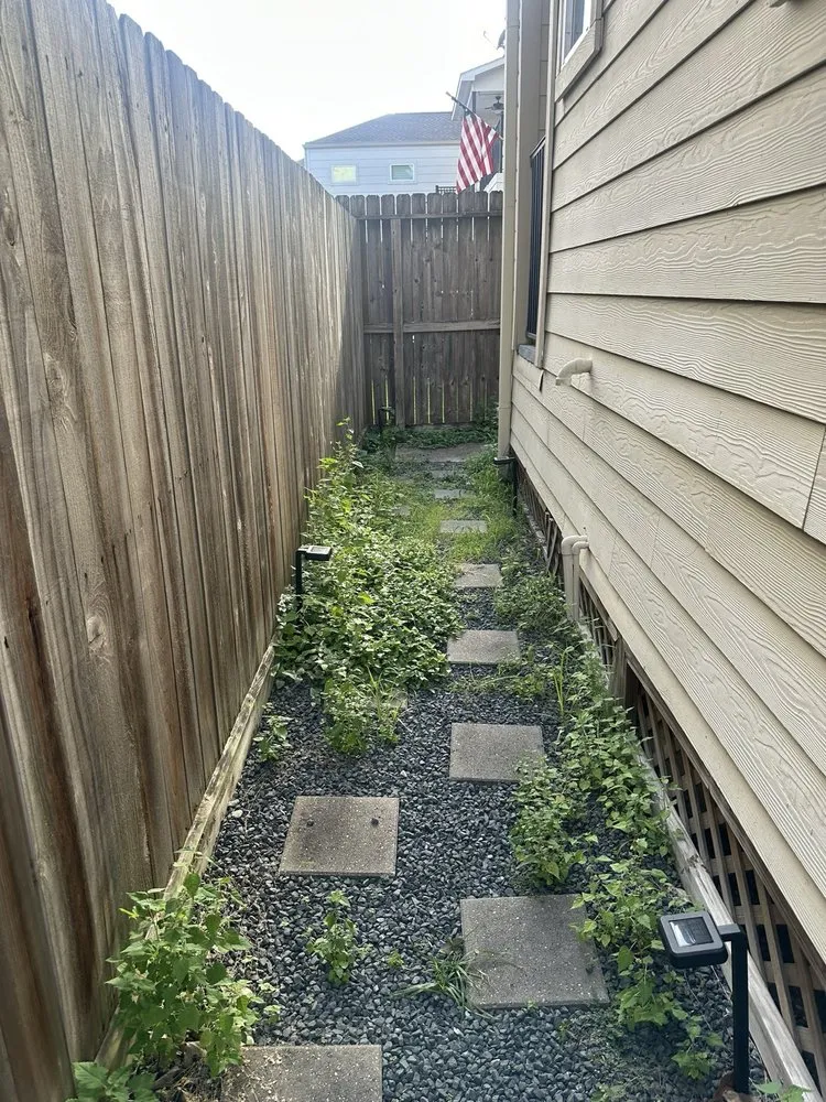 Reliable yard cleanup service for outdoor upgrades in Houston, TX by Alex Gardening and More
