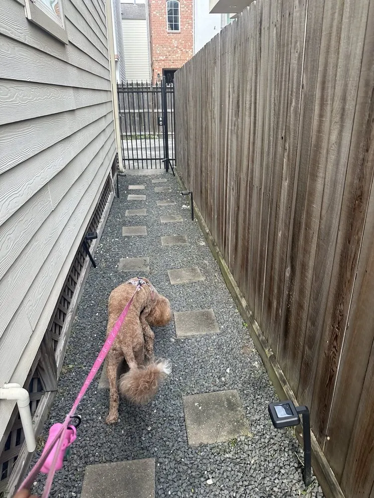 Trusted residential landscaping experts serving Houston, TX - Alex Gardening and More