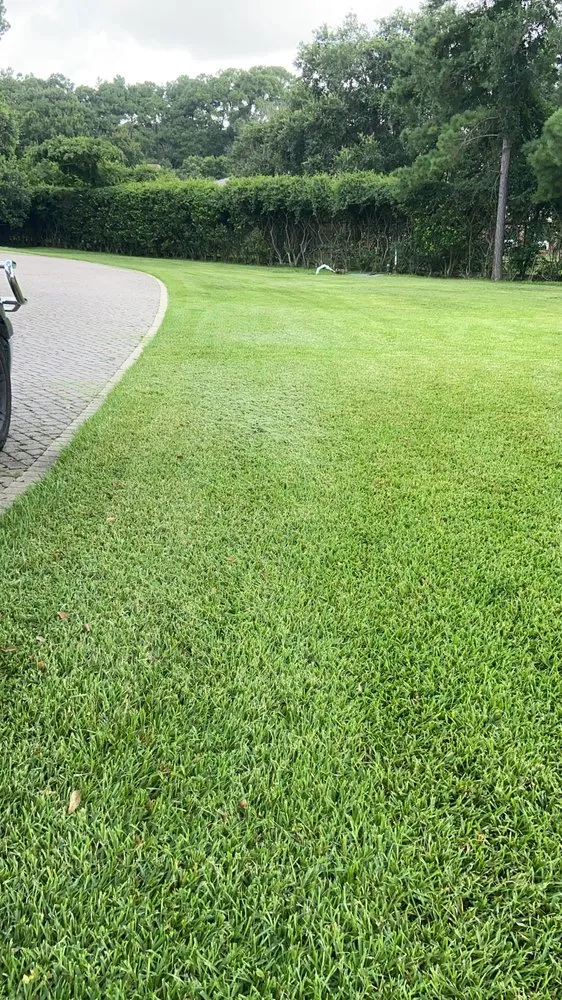 Reliable yard cleanup service experts serving Houston, TX - Alex Gardening and More