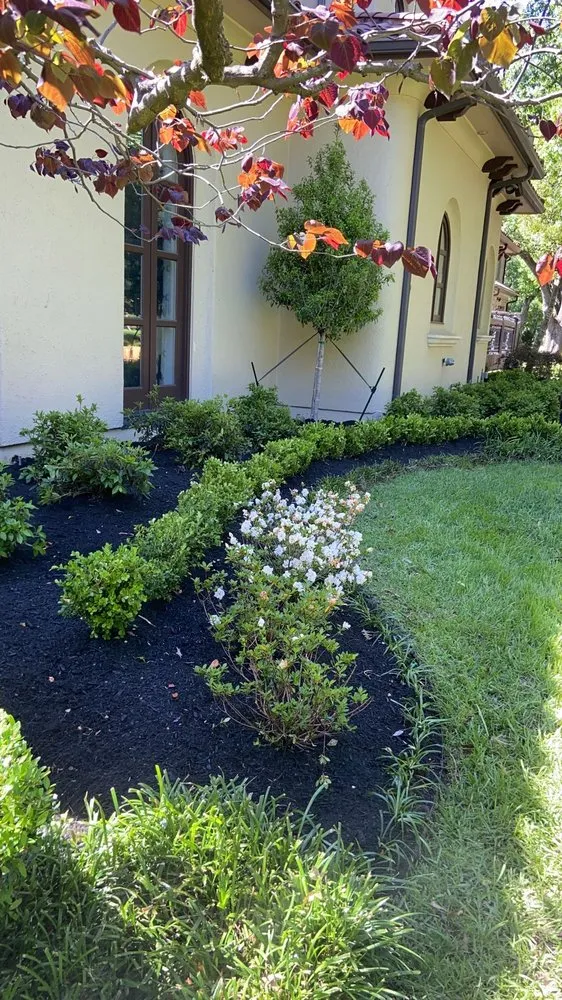 Professional landscape design experts serving Houston, TX - Alex Gardening and More