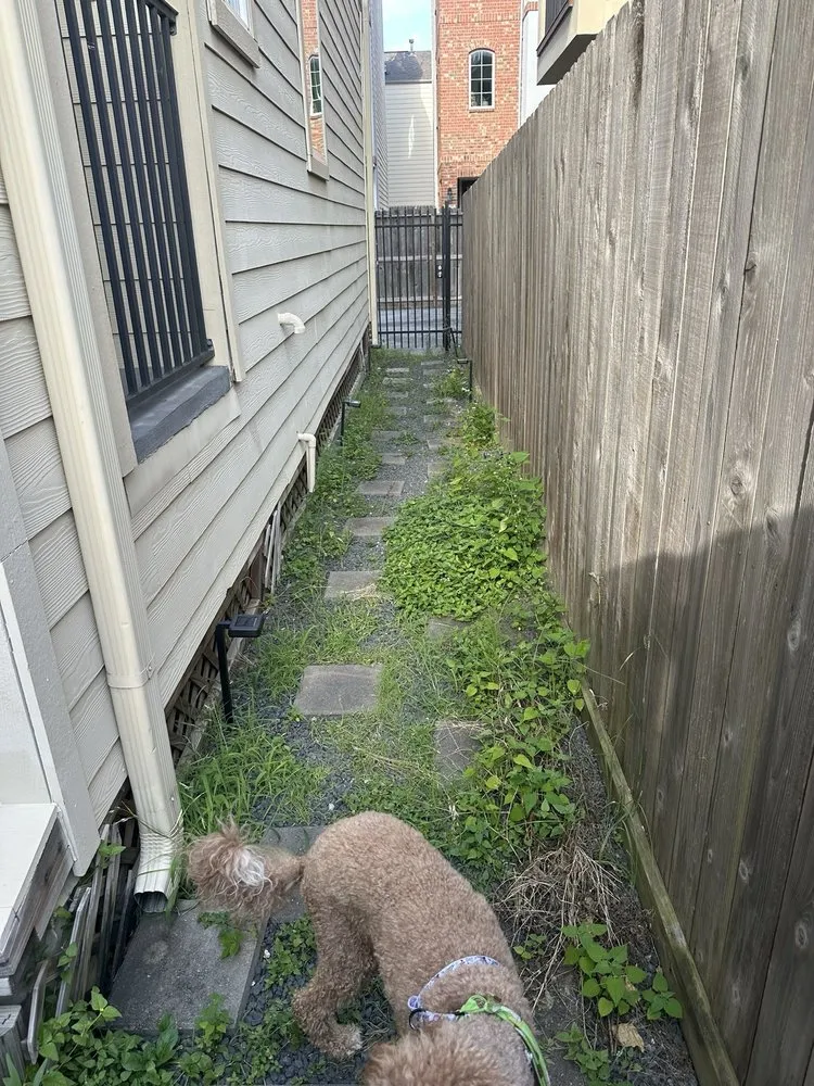 Local garden landscaping in Houston, TX - Alex Gardening and More