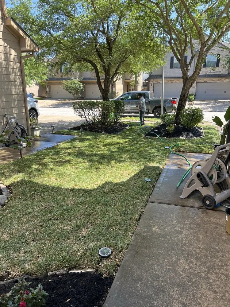 Expert landscape installation in Houston, TX by Alex Gardening and More