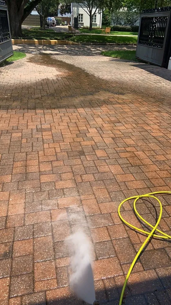 Local yard maintenance in Houston, TX - Alex Gardening and More