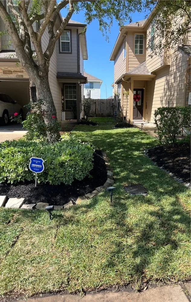 Reliable lawn mowing service in Houston, TX - Alex Gardening and More