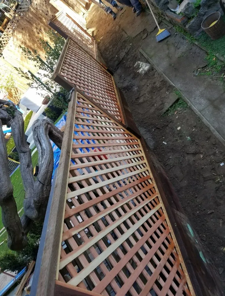 Professional yard maintenance in Colma, CA - Alex Gardening