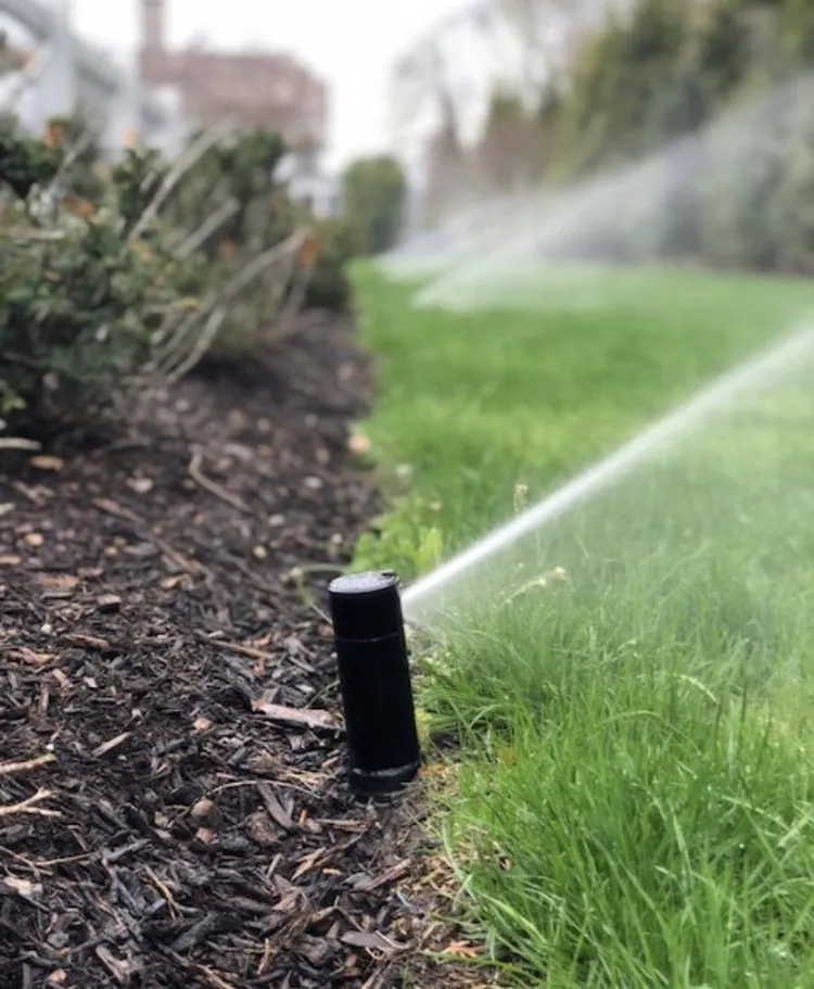 Custom landscape design experts serving Inglewood, CA - Alex Gardening Services