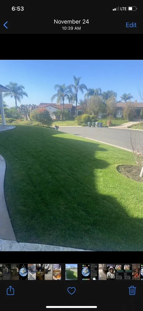Reliable landscape installation for year-round maintenance in Inglewood, CA by Alex Gardening Services