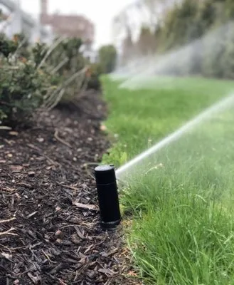 Alex Gardening Services Logo