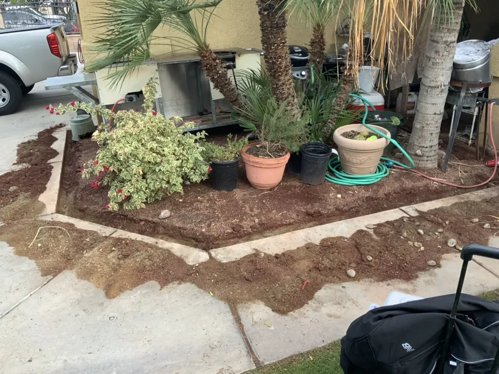 Trusted residential landscaping in Cathedral City, CA by Alex H Landscape