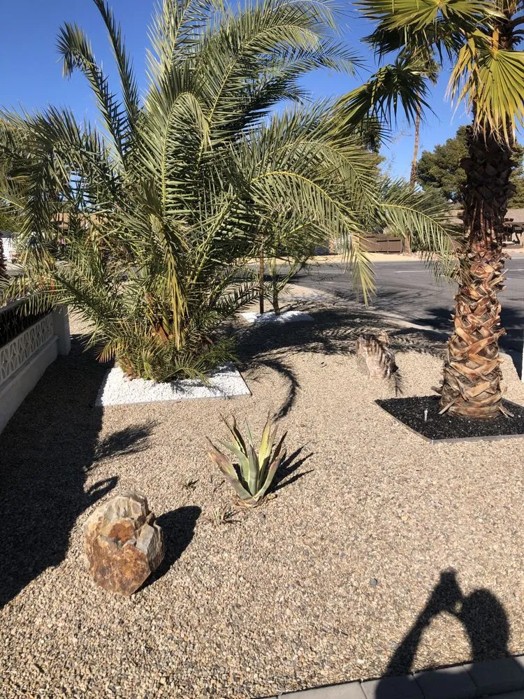 Trusted landscape installation in Cathedral City, CA by Alex H Landscape