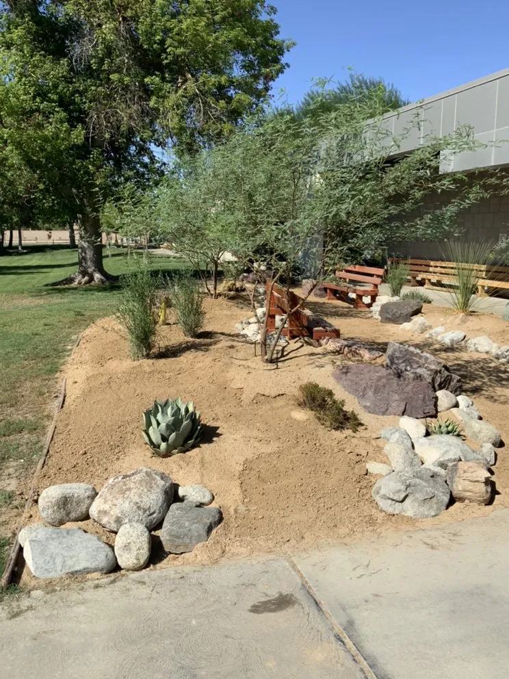 Custom landscape design for year-round maintenance in Cathedral City, CA by Alex H Landscape