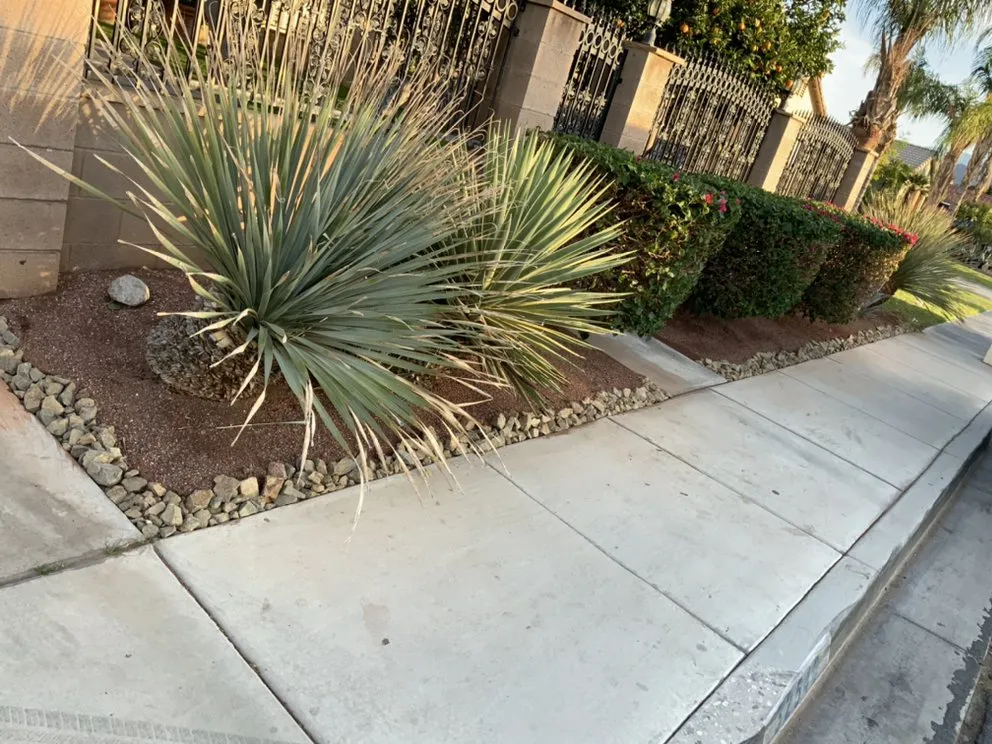 Trusted lawn mowing service in Cathedral City, CA - Alex H Landscape