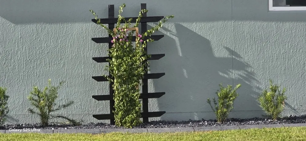 Affordable residential landscaping in Leesburg, FL - Alex H Landscaping