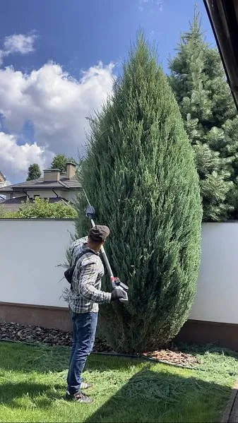 Affordable landscape installation for beautiful yards in McBain, MI by Alex Handyman