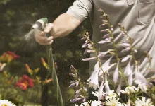 Custom garden landscaping near you across Carlos, MN - Alex Irrigation & Landscaping