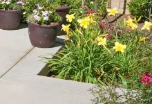 Professional yard maintenance experts serving Carlos, MN - Alex Irrigation & Landscaping