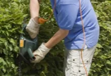 Professional yard cleanup service experts serving Carlos, MN - Alex Irrigation & Landscaping