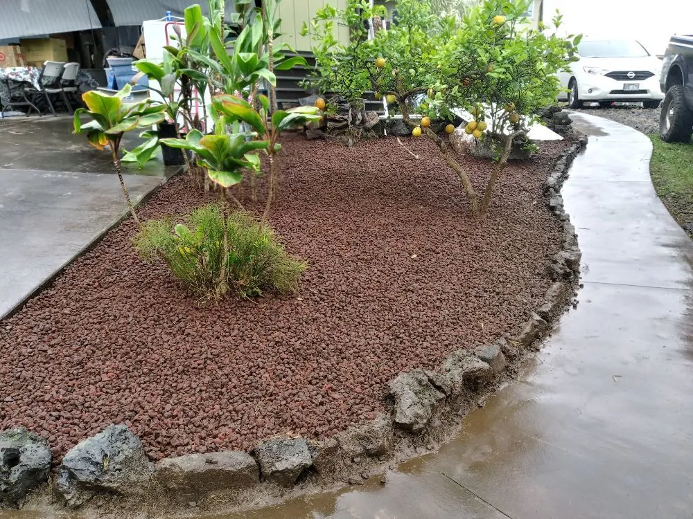 Local outdoor landscaping in Holualoa, HI - Alex Landscapes