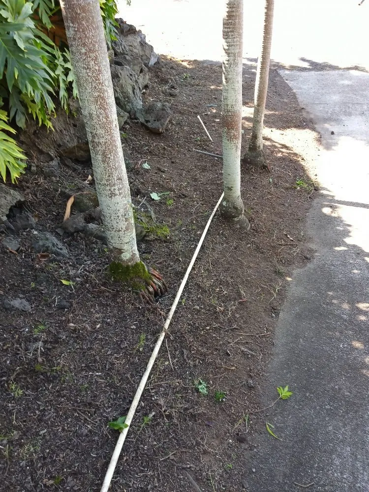 Professional landscaping services for residential properties in Holualoa, HI by Alex Landscapes
